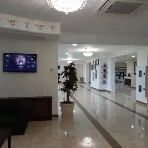 Shali-City - 1