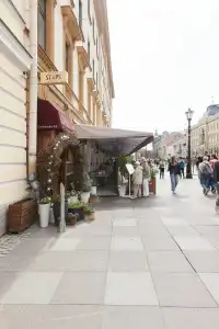 STEPS - 19