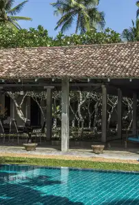 The Frangipani Tree by Edwards Collection - 8