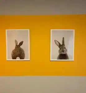 Neptun Tourist base - 85