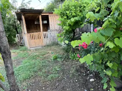 Comfort Guest house - 1
