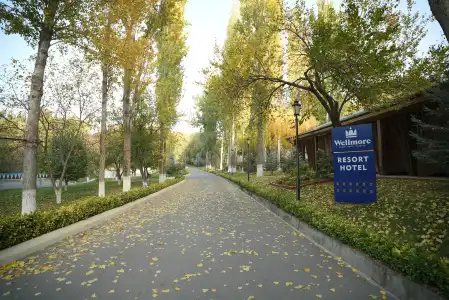 Wellmore Resort Charvak - 36
