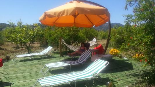 Sun Dalyan & Yeni Adet Organic - 81