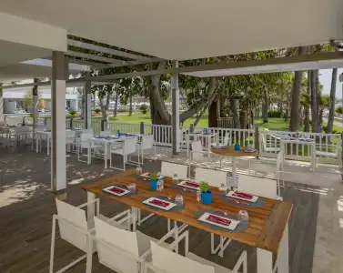 Acanthus Cennet Barut Collection - Ultra All Inclusive - 36