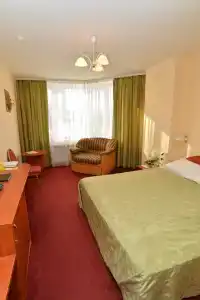 Tsentralny EuroHotel - 88