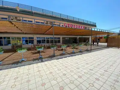 Uralskie Samotsvetyi - 9