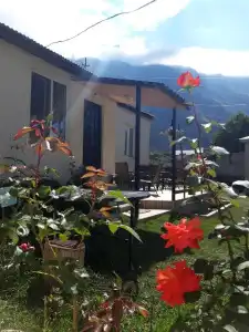 Elguja Qushashvili Guest house - 2