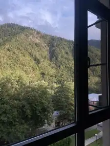  Borjomi Likani - 41