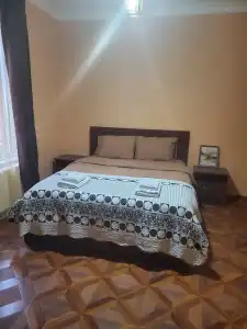 Dioscuria Borjomi Guest House - 30