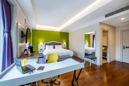 Mercure Tbilisi Old Town - 66