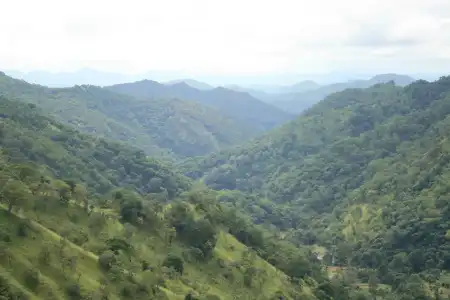 Amaya Hills Kandy - 52