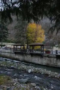 Borjomi UnderWood - 29