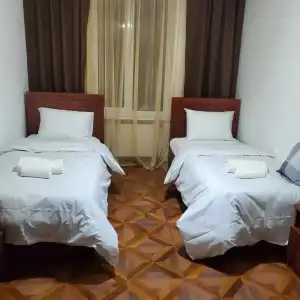 Dioscuria Borjomi Guest House - 4