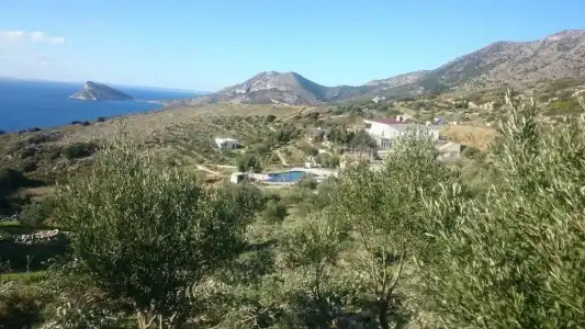 Goknar Knidos - 0