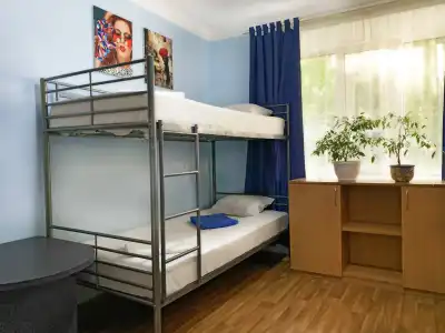 Alla house - 50