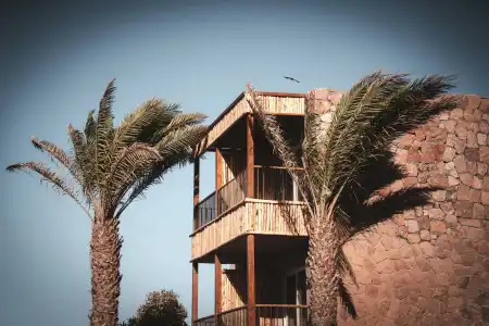 Ananea Hurghada-Adults Only - 10