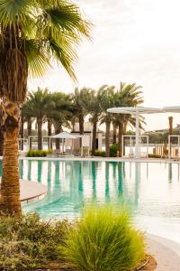 ERTH Abu Dhabi - 19