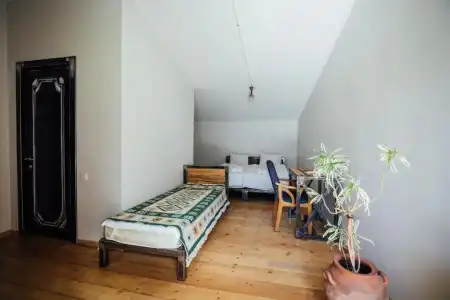 Boutique Green Sheep - 12