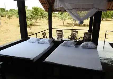 The Elephant Pass Yala - 8