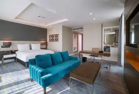 Radisson Blu, Kayseri - 18