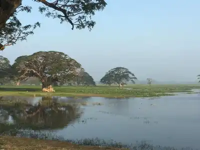 The Elephant Pass Yala - 0