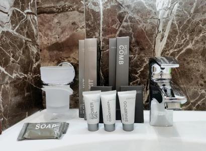 Arion Mini Avtozavodskaya - 106