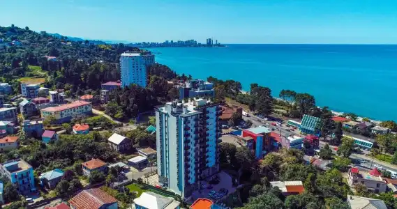 Next Green Official - 17