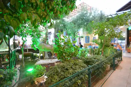 İstanköy - 15