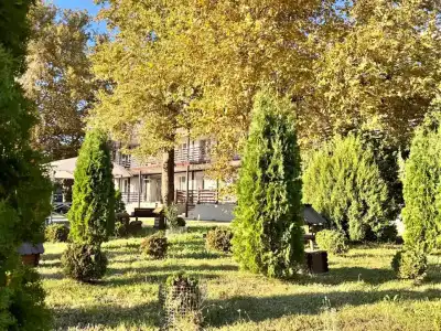 Uralskie Samotsvetyi - 28