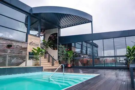 Black Bird Thermal & Spa - 9