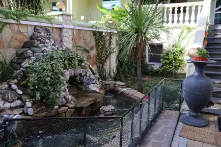 Paradiz - 36