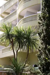 Paradiz - 19