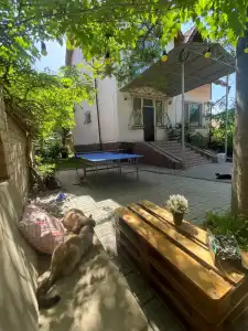 Cats&Beds Hostel - 3