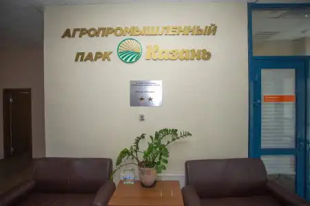 Azalya - 13