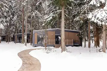 Neshalashi Lesnoy - 124