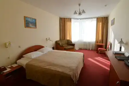 Tsentralny EuroHotel - 86