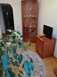 Usadba Pleshanova - 169