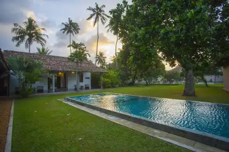 The Frangipani Tree by Edwards Collection - 14