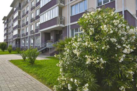 Barhatnyie Sezonyi Semeyniy Kvartal - 25
