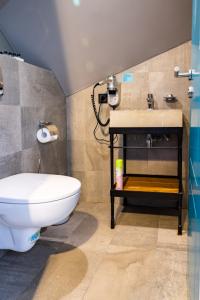 Wellion Baumansky - 137