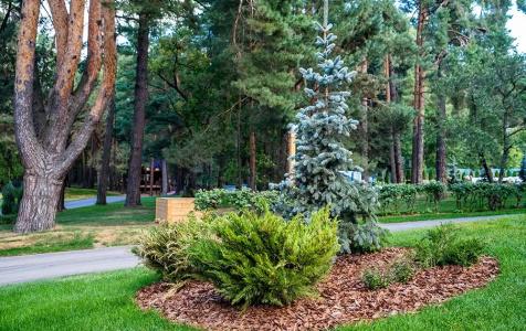 Lesnaya Opushka Tourist base - 8