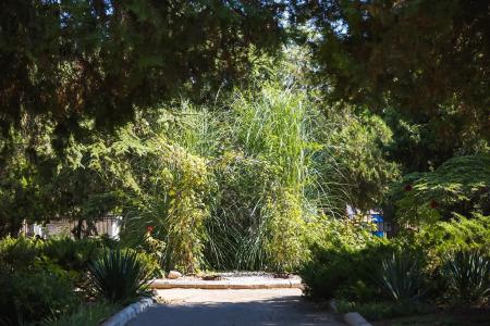 Priboj Sanatorium - 38