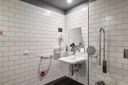 Holiday Inn St Petersburg - Theatre Square - 41