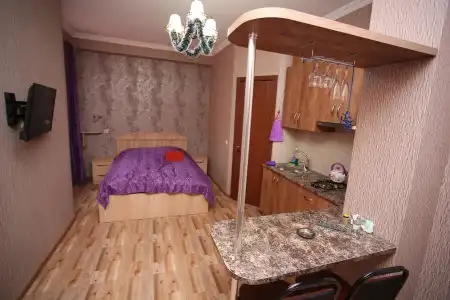 ApartHotel Otin - 66