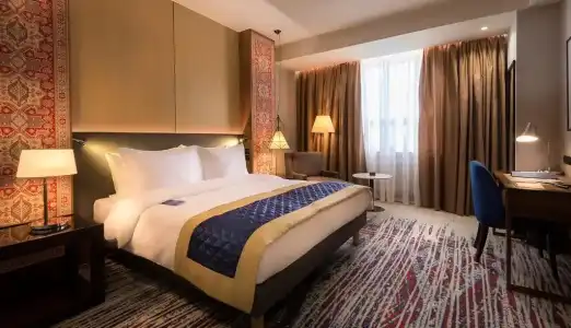Radisson BLU - 26