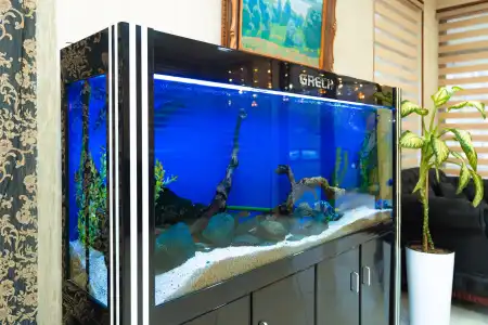 Diamond Tashkent - 8