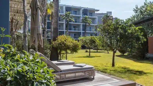 Barut GOIA - 55