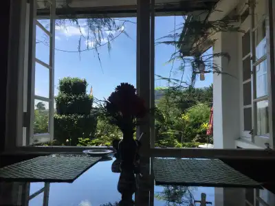 The Trevene - 5