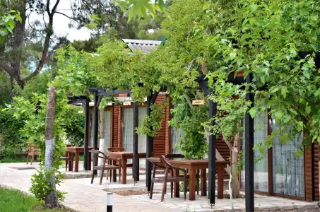 Koala Bungalow - 107