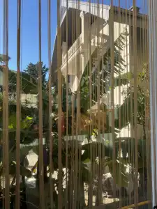 Paradiz - 24
